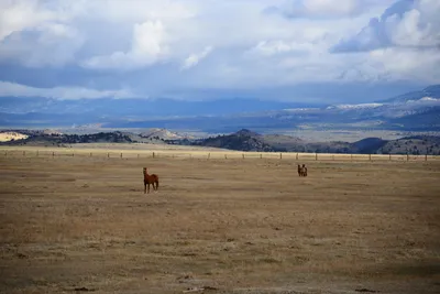 DSC_2906 (Large).JPG